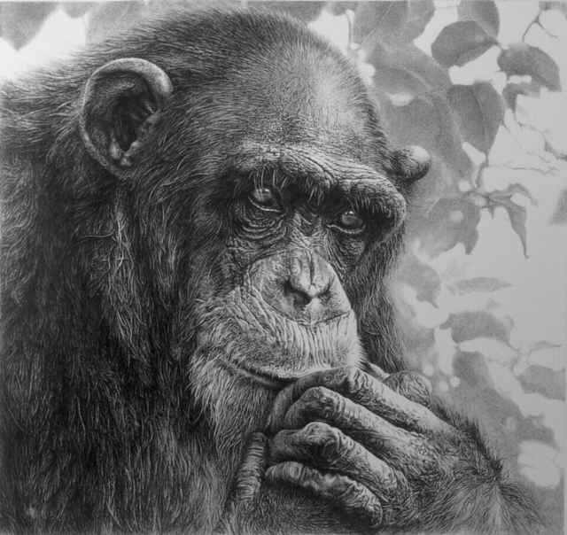 mmexport1476000802451