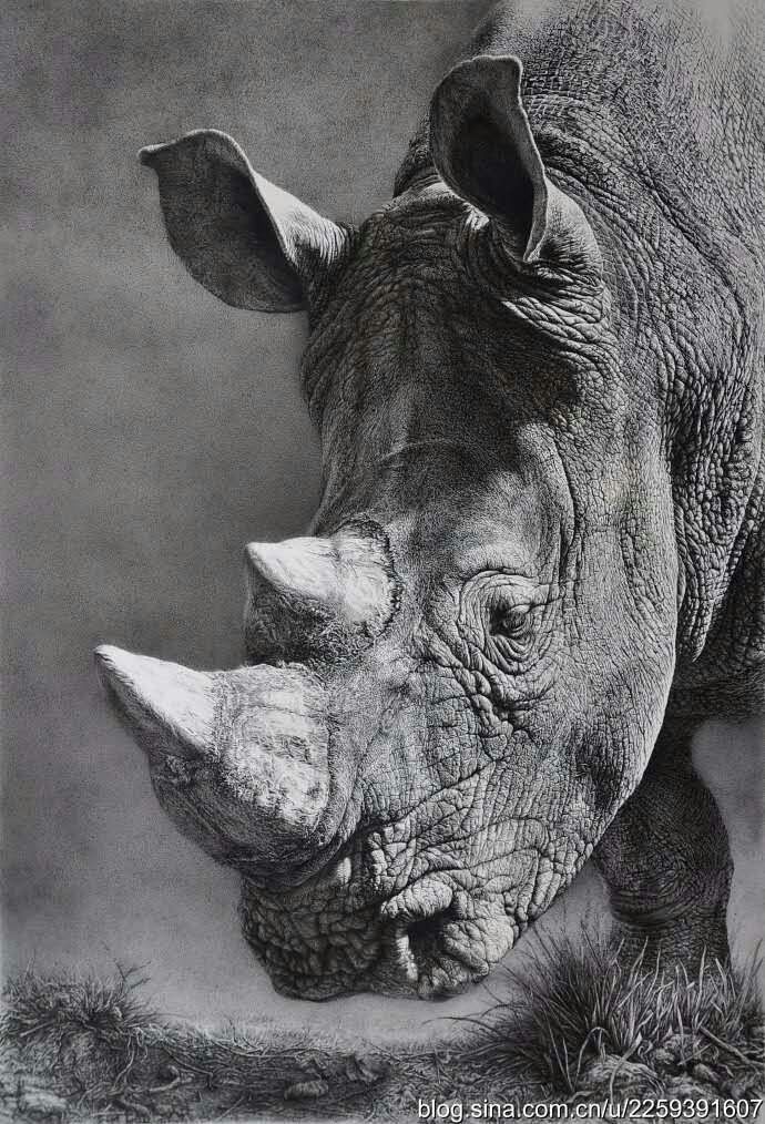 mmexport1476000791767