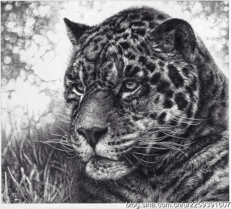 mmexport1476000712337